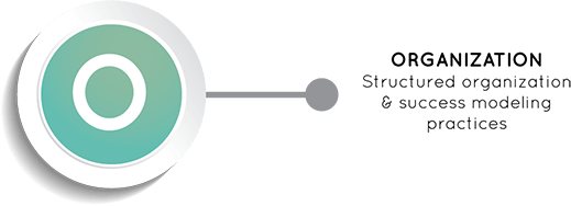 Organization